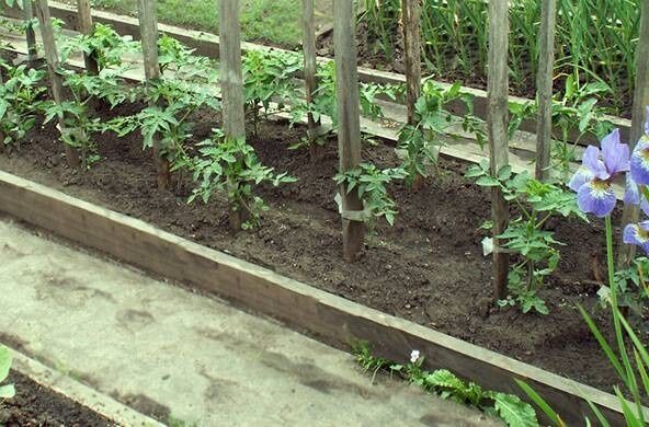 ����������� ���������� ������� ������� ��� ����� ������