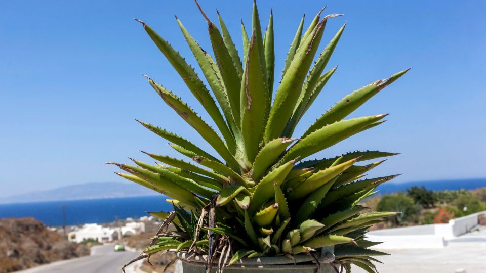 �������� � ����������� ����������: � ���� ������������ ���� �������� ��� �� �������