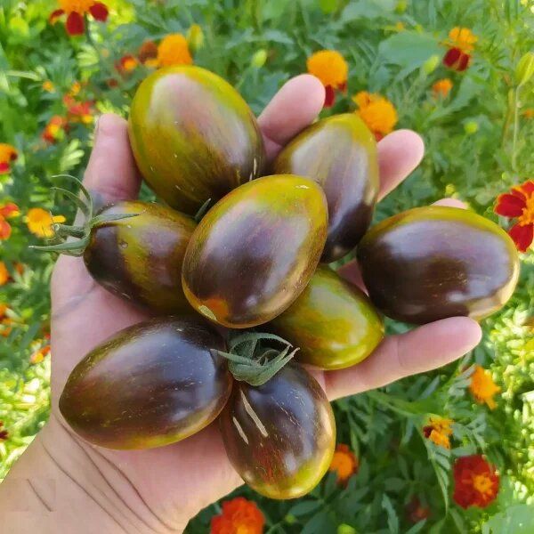 ����� ������� ������: ��, ��� ����� ����� � ����� ��������� �����