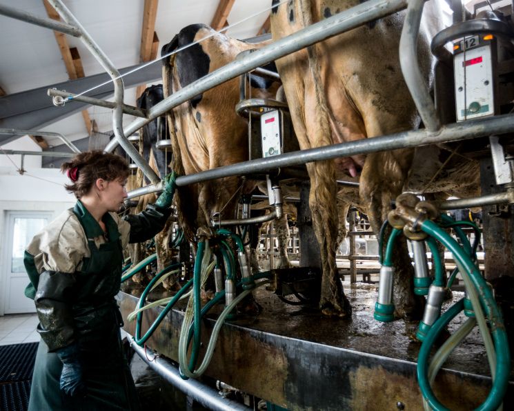 ������������ �������� ������� �������� ������������� �������