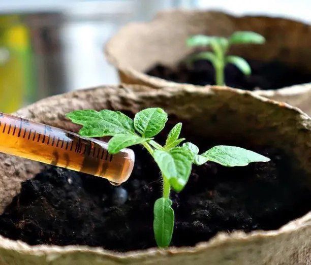 ����� ��� ������ ������� �������: ��� ������� ��������� ������ ��