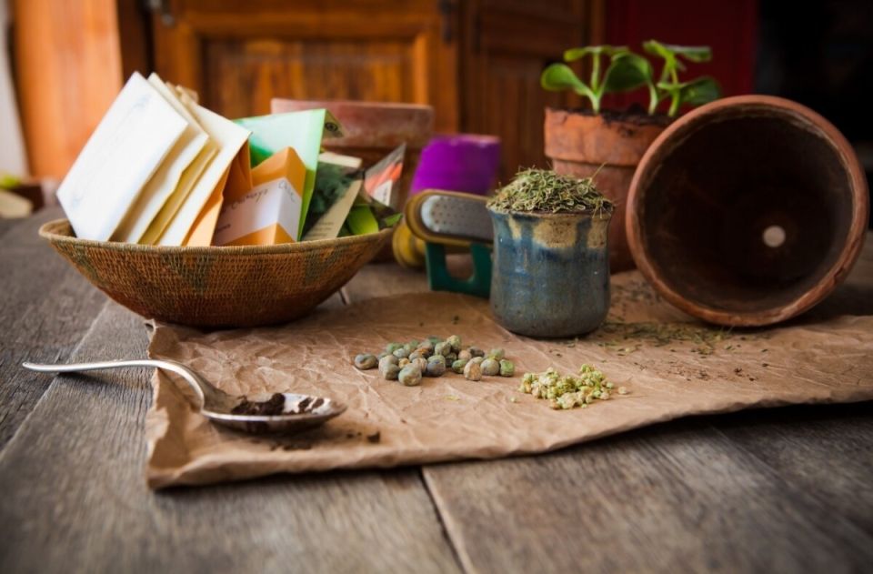 Светлые дни февраля: пора весенних хлопот в саду и огороде