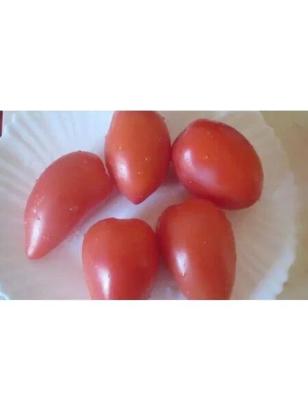 Томат Сладкие дольки: миниатюрные плоды с насыщенным сладким вкусом