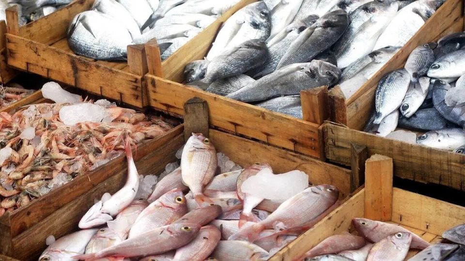Белоруссия стала лидером среди поставщиков рыбы в Россию