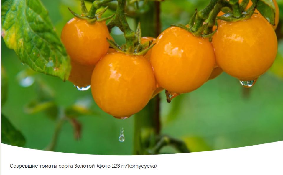 ������� � ��������� ����� �������: ���, ��� ����� �����