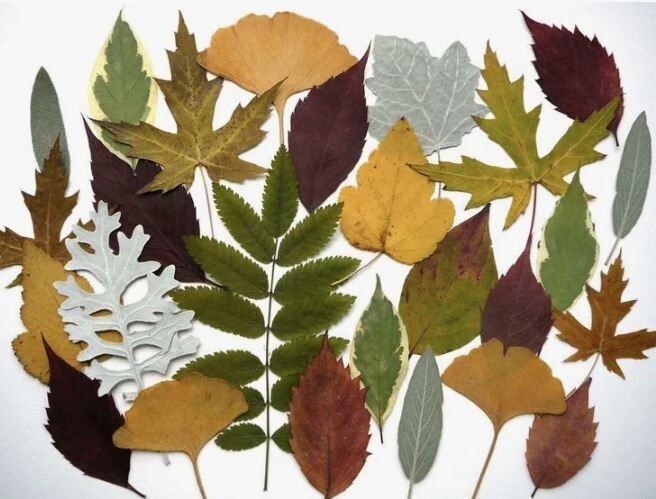 ��� ������� �������� ������� ������� � ��������� �� ����