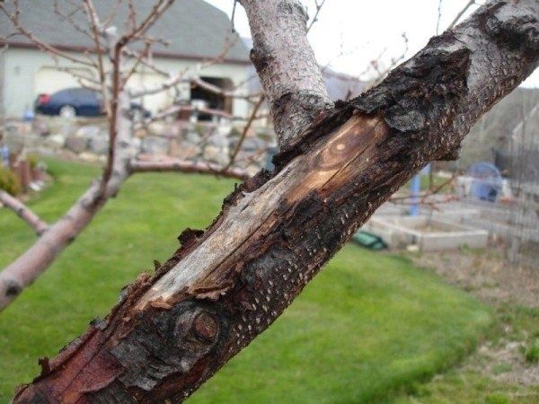 ��� �������� ������� �� ��������� ������ ������