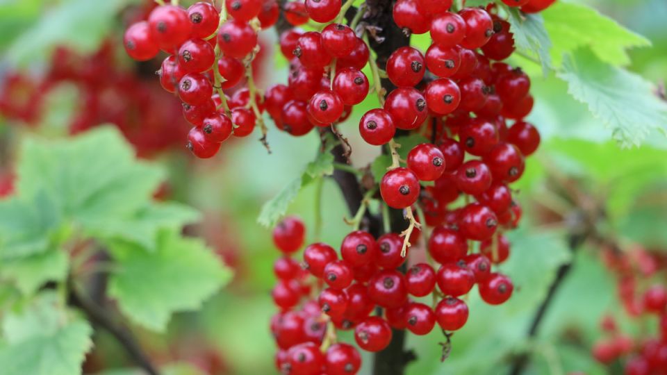 ��� �������� ��������� ���������� ��������� � ������� ��� ��� ������ �� �����