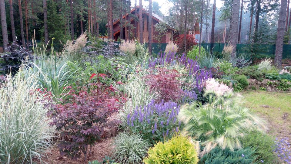 ���������� � �����������