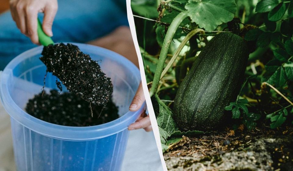 ��� ��������� �������� ������� � ���� ��� �������� ������