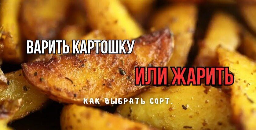 Что нужно знать о картофеле: как выбрать подходящий сорт для жарки и варки