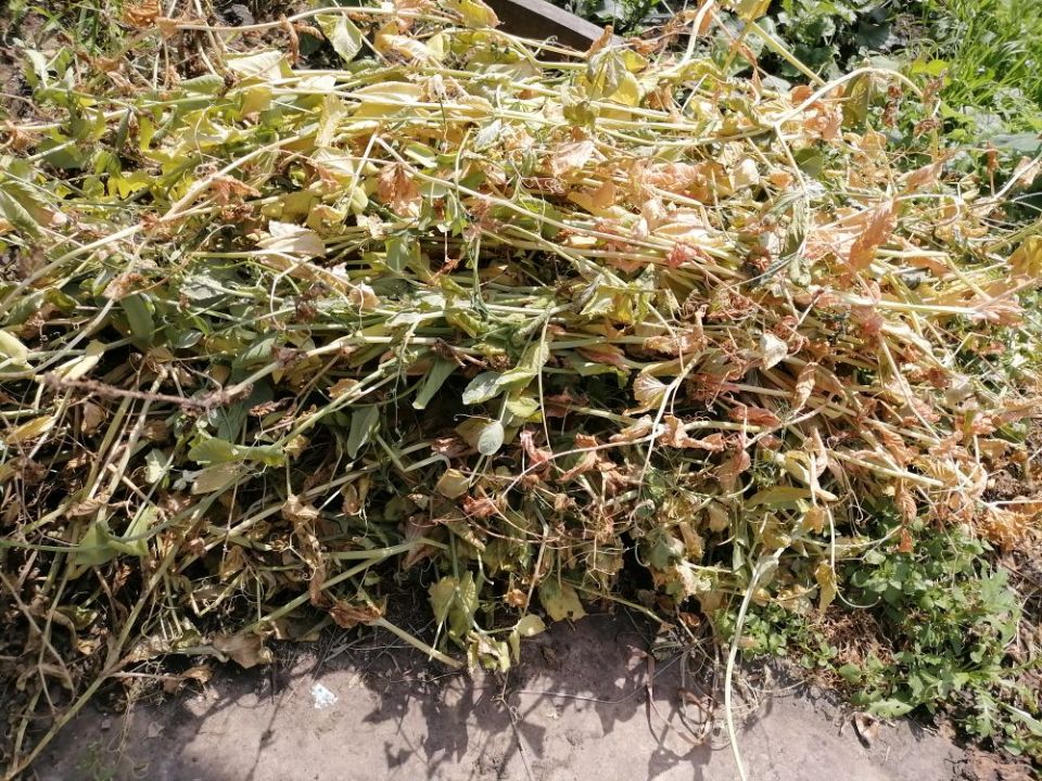 ��� ����� ��������� ������� ������ ��� ������ ������ � ������