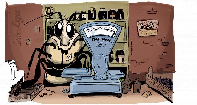 Пчелиные сокровища: что кроме меда предлагает природа