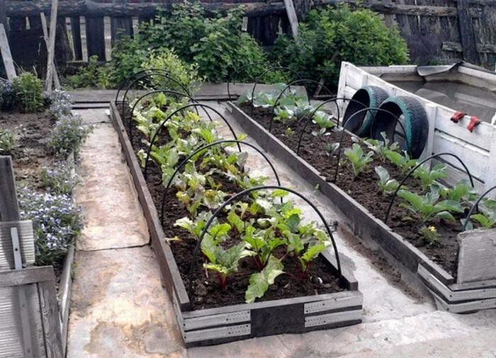 Новая жизнь старого линолеума: неожиданные идеи для дачи